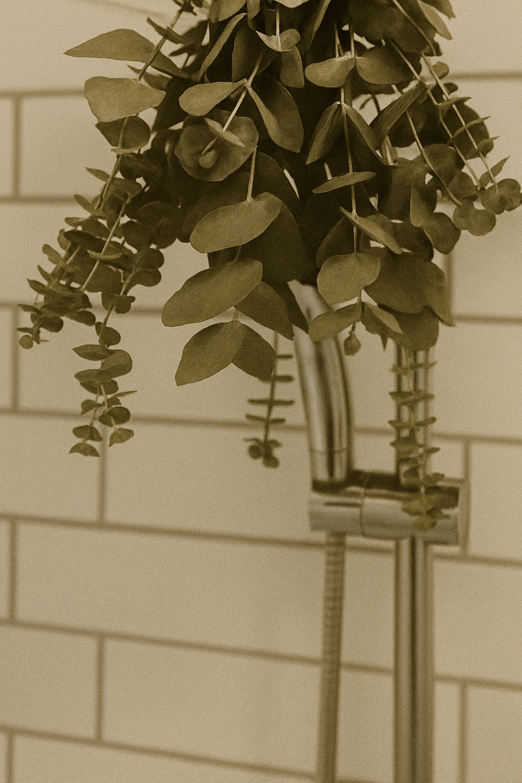 Stilla | Clarity – Fresh Eucalyptus Shower Bundle