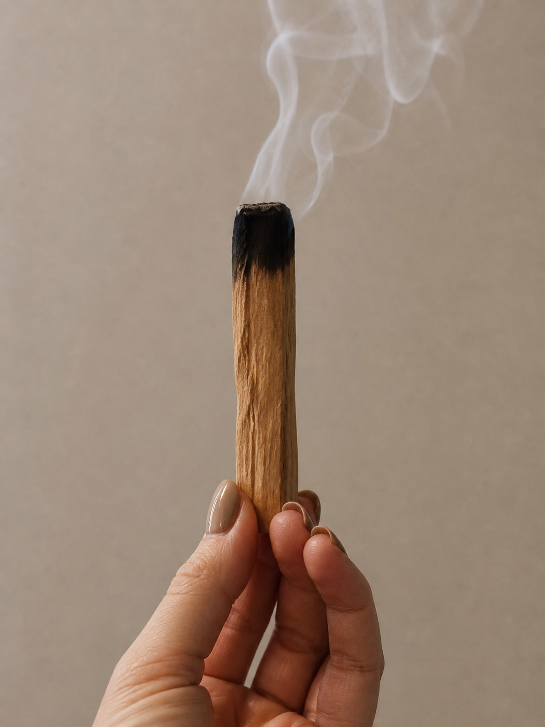 Palo Santo | Ritual Sticks