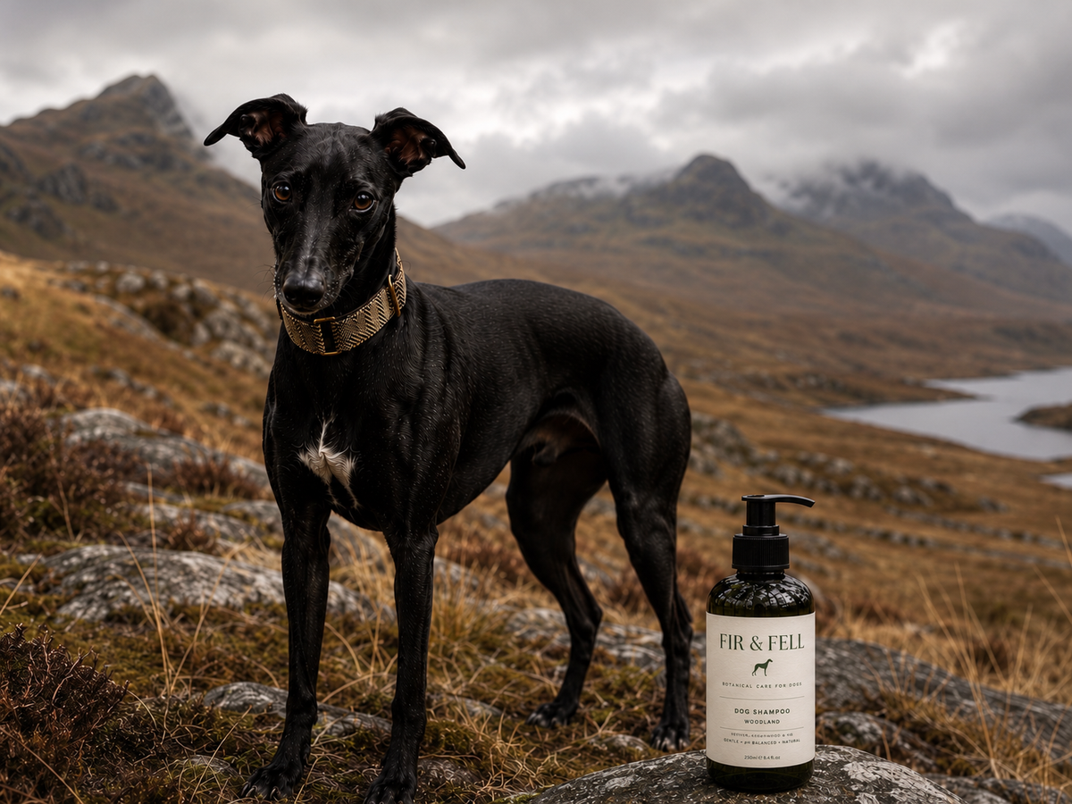FIR & FELL | Woodland Dog Shampoo