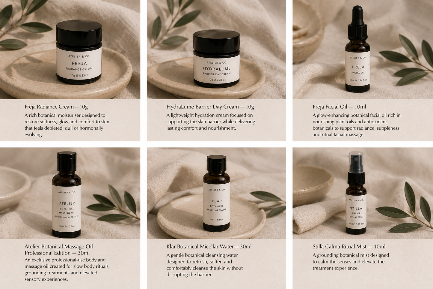 Atelier Professional Discovery Kit