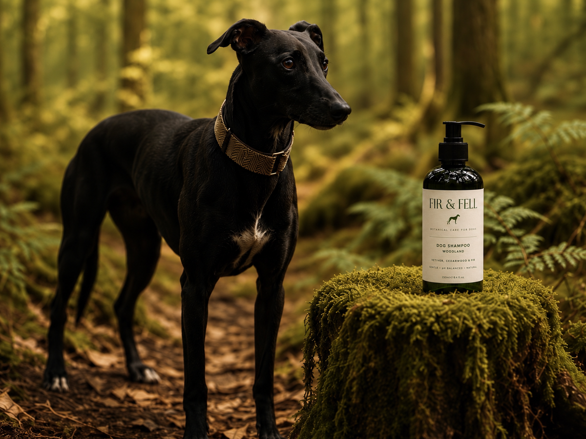 FIR & FELL | Woodland Dog Shampoo