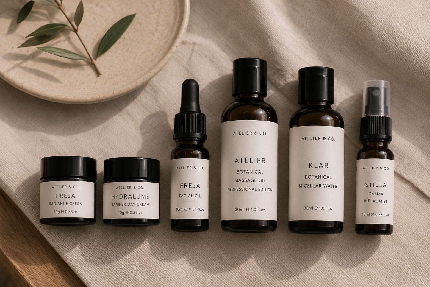 Atelier Professional Discovery Kit