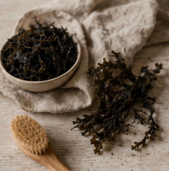 HAV Seaweed Bath Concentrate | Marine Immersion